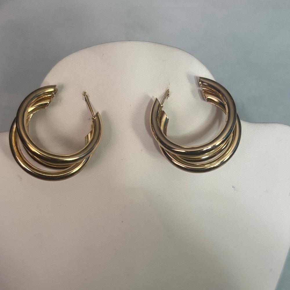 Elegant Gold Hoop Earrings
